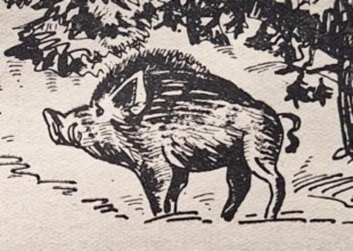 Vandersteen (?) Suske Wiske - Pygmalion 6 Juni 1948, Boeken, Tijdschriften en Kranten, Gelezen, Sport en Vrije tijd, Verzenden