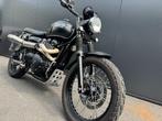 Triumph - SCRAMBLER 900, Motoren, 2 cilinders, Sportuitlaat, Motorrijbewijs A, Bedrijf