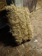 Hooi, Dieren en Toebehoren, Ophalen