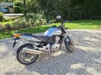 Honda CBF500, Motoren, Motoren | Honda, 2 cilinders, 499 cc, Particulier, Meer dan 35 kW