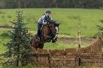 Talentvolle, veelzijdige, betrouwbare D-pony, Dieren en Toebehoren, Pony's, Merrie, Gechipt, Springpony, L