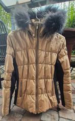 Veste de ski Fusalp t36, Kleding | Dames, Ophalen of Verzenden, Zo goed als nieuw, Fusalp, Jack