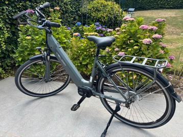 E bike Veloci  2024 beschikbaar voor biedingen