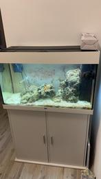 Zeeaquarium juwle rio 125l, Dieren en Toebehoren, Ophalen