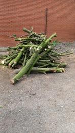 Brandhout te koop, Tuin en Terras, Brandhout, Ophalen