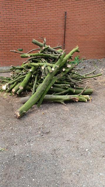 Brandhout te koop, Enlèvement