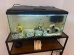 aquarium, Animaux & Accessoires, Enlèvement ou Envoi, Comme neuf