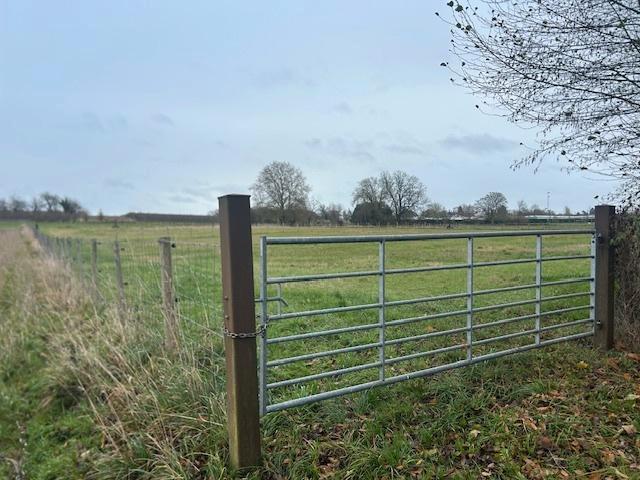 landbouwgrond/weiland te koop Gingelom(muizen), Immo, Terrains & Terrains à bâtir, 1500 m² ou plus, Ventes sans courtier