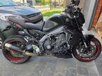 Yamaha MT09 2023, Motoren, Motorrijbewijs A, Meer dan 35 kW, Naked bike, 900 cc