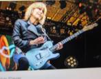 Nieuwe zeldzaam goede Fender Chrissie Hynde  Telecaster, Ophalen of Verzenden, Nieuw, Solid body, Fender