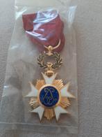 Médaille belge, Enlèvement