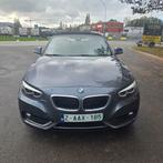 Bmw 218i cabriolet automatique, Euro 6, Entreprise, Noir, Automatique