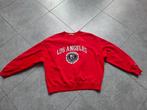 Pull America Today maat M, Kleding | Dames, Maat 38/40 (M), Ophalen of Verzenden, Zo goed als nieuw, America Today