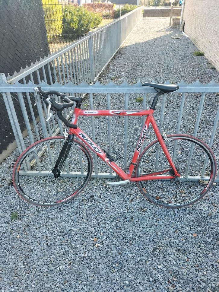 Ridley Icarus maat 64, Fietsen en Brommers, Fietsen | Racefietsen, Gebruikt, 61 tot 65 cm, Ophalen