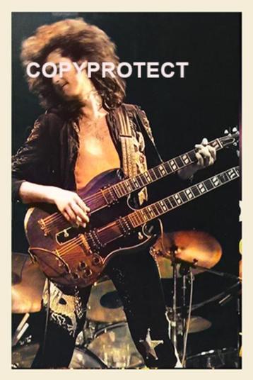 Led Zeppelin live Vorst Nationaal beschikbaar voor biedingen