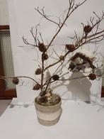 Decoratie, Diversen, Kerst, Ophalen, Nieuw