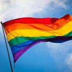 Regenboog vlag  ( Gay & Lesbian flag ), Ophalen of Verzenden, Nieuw