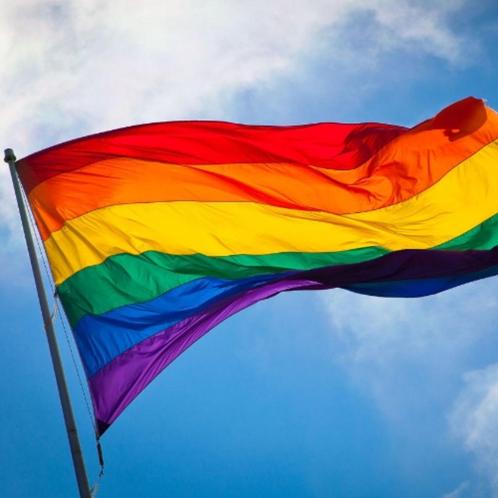 Regenboog vlag  ( Gay & Lesbian flag ), Diversen, Vlaggen en Wimpels, Nieuw, Ophalen of Verzenden