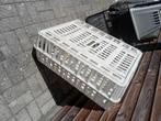 Pluimvee transportbak, Dieren en Toebehoren, Ophalen, Zo goed als nieuw, Overige typen