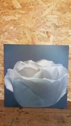 Mooie canvas met roos zwart/wit 60 x 60, Ophalen