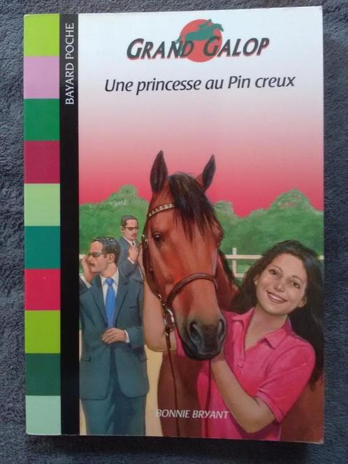 "Une princesse au Pin creux" Bonnie Bryant (2005), Livres, Livres pour enfants | Jeunesse | 10 à 12 ans, Utilisé, Fiction, Enlèvement ou Envoi