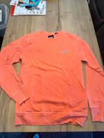 Trui Superdry Maat M, Kleding | Heren, Truien en Vesten, Ophalen of Verzenden, Zo goed als nieuw, Maat 48/50 (M)