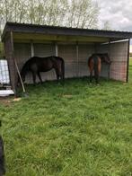 paardenweide met schuilhok, Dieren en Toebehoren, Meerdere dieren, Niet van toepassing