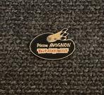 PIN - PIERRE AVIGNON - PEINDRE - SCHILDEREN, Collections, Envoi, Utilisé, Autres sujets/thèmes, Insigne ou Pin's