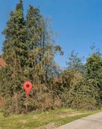 Gratis brandhout, Tuin en Terras, Brandhout, Ophalen