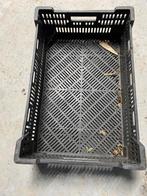 Veenmankisten laag/hoog, Tuin en Terras, Kweekspullen, Ophalen, Gebruikt, Kweekbak