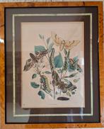 Kopergravure 1867, Antiek en Kunst, Ophalen of Verzenden