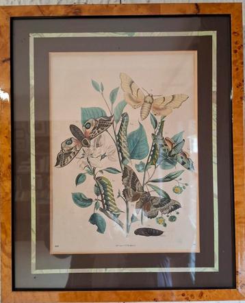 Kopergravure 1867 beschikbaar voor biedingen