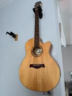 Richwood akoestische guitar, Muziek en Instrumenten, Ophalen, Zo goed als nieuw