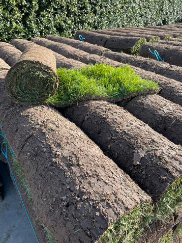 Grasmatten Top kwaliteit, gazon op rol, graszoden voor tuin beschikbaar voor biedingen