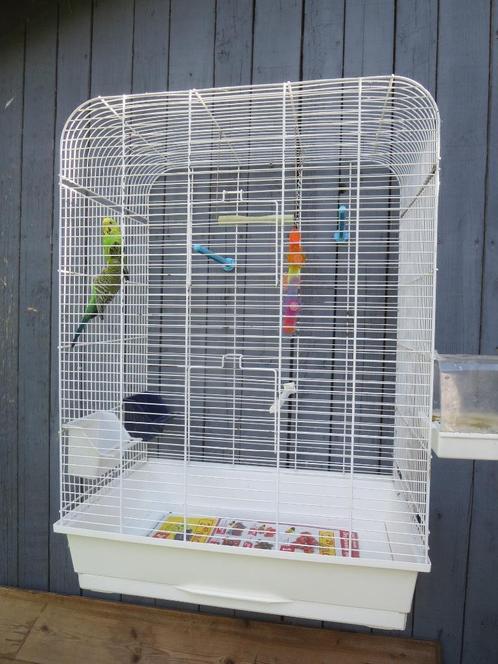 Kooi met of zonder parkieten, Dieren en Toebehoren, Vogels | Hokken en Kooien, Gebruikt, Ophalen