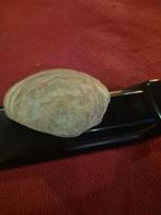 Tweekleppige schelpfossiel 9 cm, Ophalen