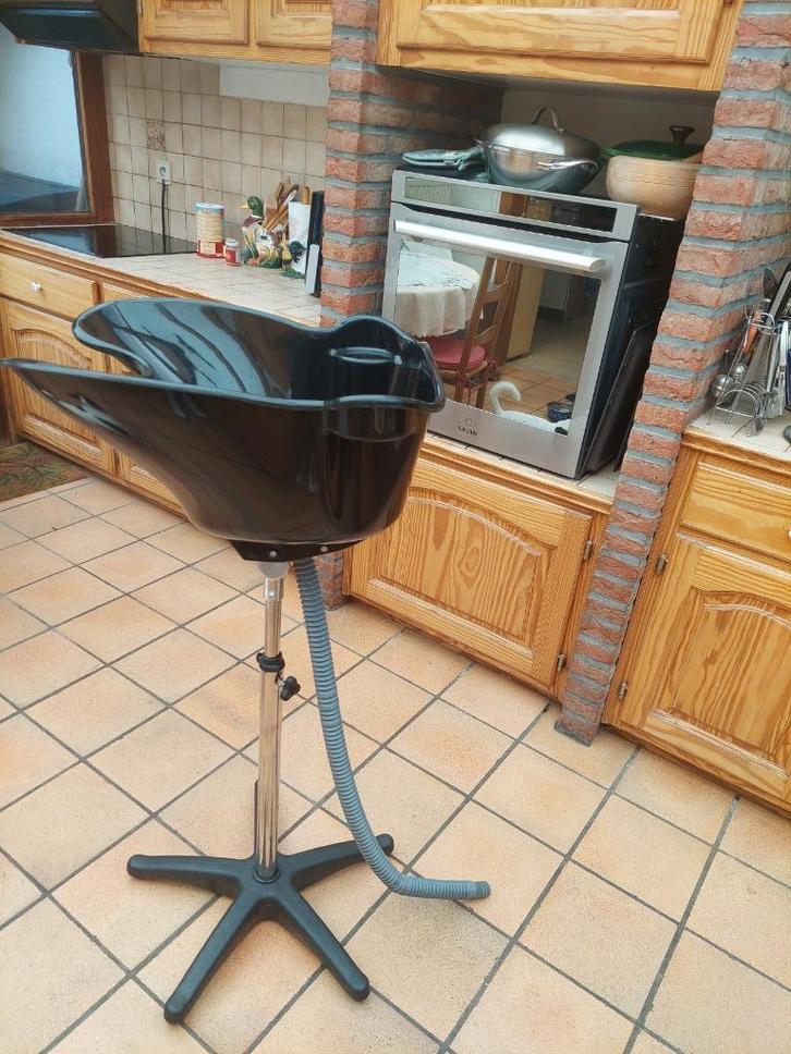 Professionele hoofdwasmachine met voet, Zakelijke goederen, Overige Zakelijke goederen, Ophalen