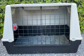 Caisse de transport pour chiens., Ophalen, Zo goed als nieuw