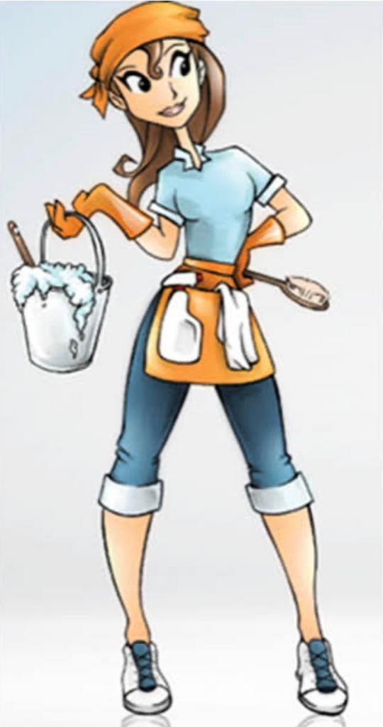 Aangeboden: Ervaren Poetshulp / Huishoudhulp regio Limburg, Vacatures, Vacatures | Schoonmaak en Facilitaire diensten