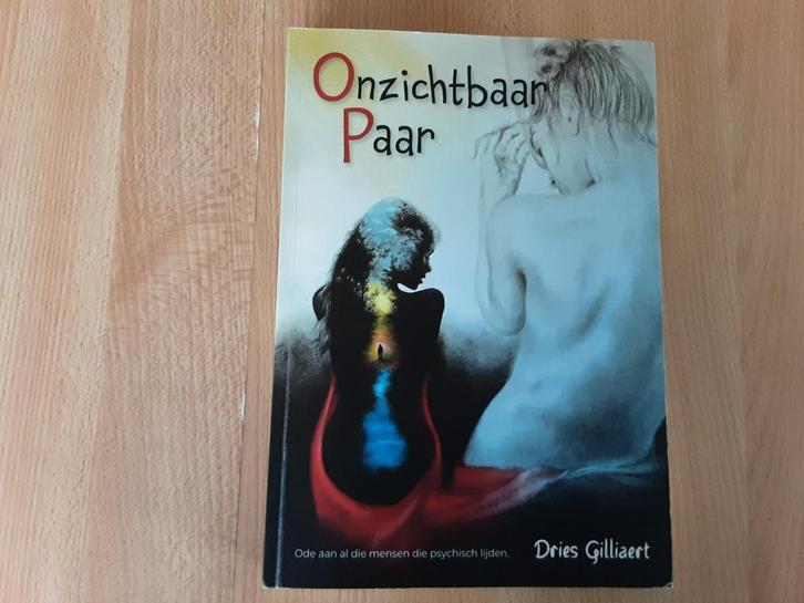 Onzichtbaar Paar door Dries Gilliaert met autisme, Boeken, Kinderboeken | Jeugd | 13 jaar en ouder, Nieuw, Fictie, Ophalen of Verzenden