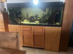 Aquarium 1m60, Ophalen, Gebruikt