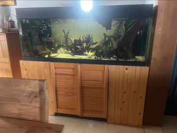 Aquarium 1m60 beschikbaar voor biedingen