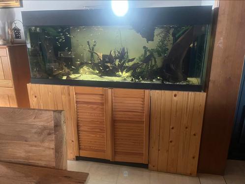 Aquarium 1m60, Dieren en Toebehoren, Vissen | Aquaria en Toebehoren, Gebruikt, Ophalen