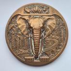 Belgique Médaille rare Afrique Congo Belge Léopold II  1935, Timbres & Monnaies, Pièces & Médailles, Enlèvement ou Envoi