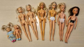Set Barbiepoppen (zonder kledij)