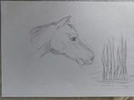 mooie tekening van een paard, Ophalen of Verzenden