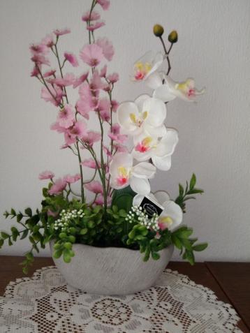 orchidee bakje