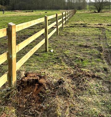 Paardenomheining met of zonder plaatsing. 'Op Voorraad'