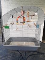 VOGEL KOOIE, Dieren en Toebehoren, Ophalen, Gebruikt