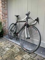 medium carbon koersfiets/racefiets Focus, Fietsen en Brommers, Fietsen | Racefietsen, 53 tot 57 cm, Ophalen, Zo goed als nieuw